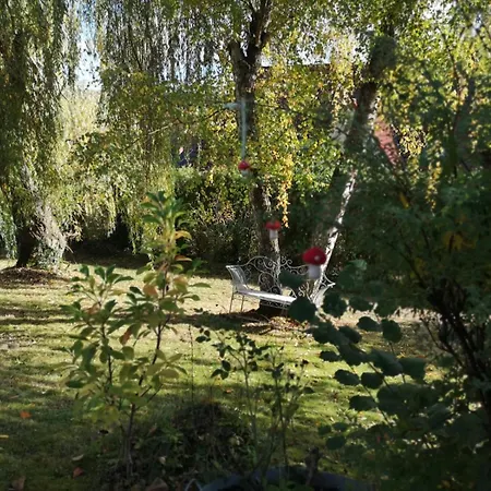 Rotkehlchen 赫尔博恩