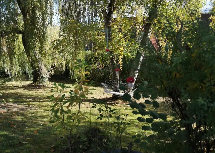 Rotkehlchen Herborn (Hessen)