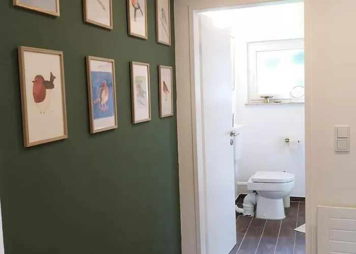 Rotkehlchen Herborn (Hessen)